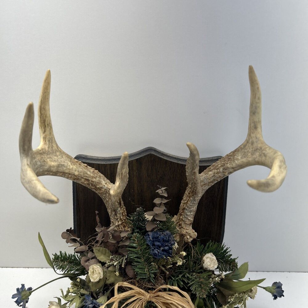 Vintage Floral Deer Antlers Trophy Mount Plaque 8 Point Cabin Decor Rustic - Picture 2 of 7